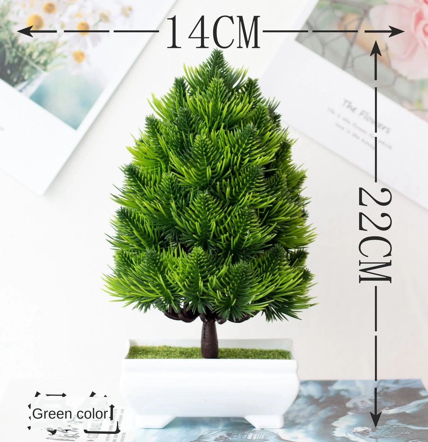 Norvo | Liten Tre Potte Bonsai Planter