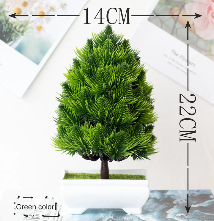 Norvo | Liten Tre Potte Bonsai Planter
