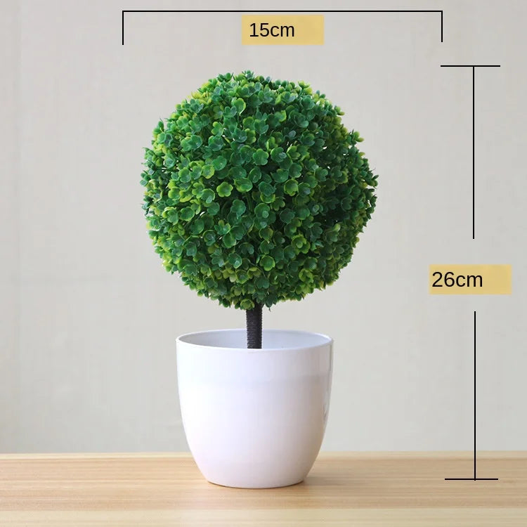 Norvo | Liten Tre Potte Bonsai Planter