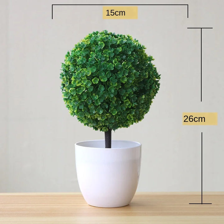 Norvo | Liten Tre Potte Bonsai Planter