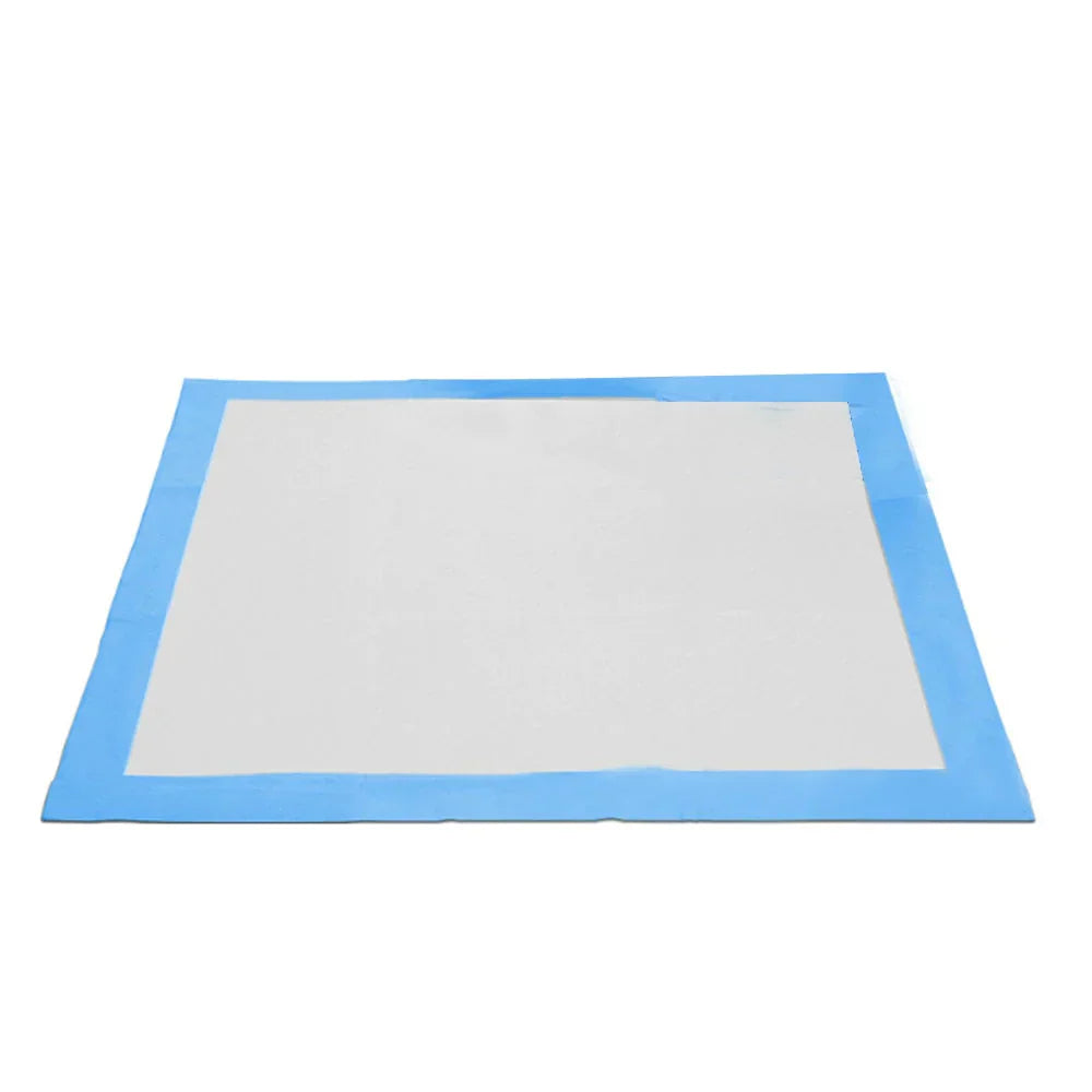 Pet Training Pads - DryPaws Matter Norvo