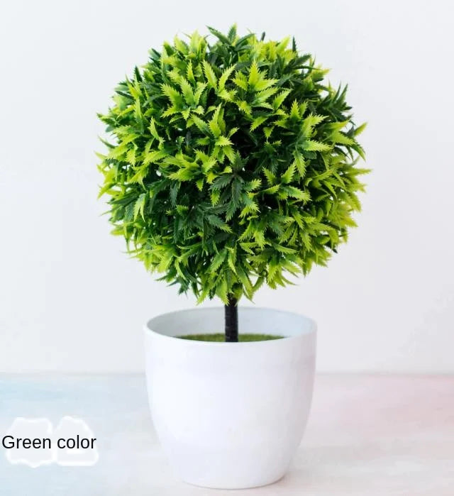 Norvo | Liten Tre Potte Bonsai Planter