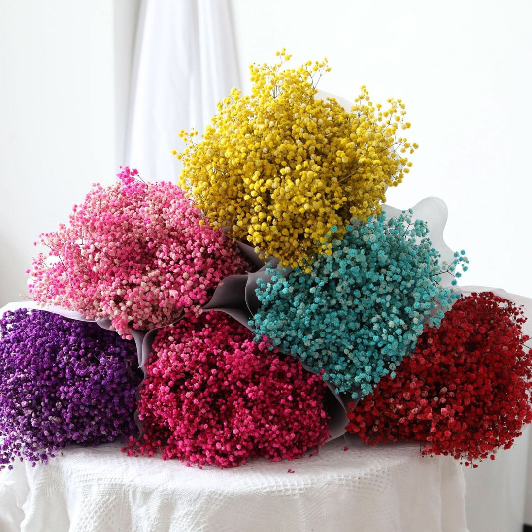 Norvo | Tørket Bevart Gypsophila Blomsterbukett – Naturlig Dekor
