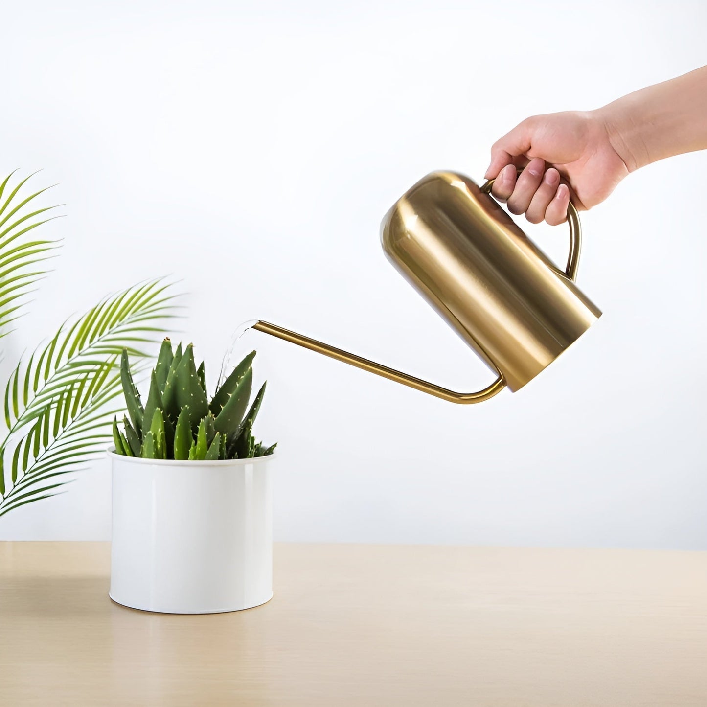 Norvo | Rustfritt Stål Hellervann - 1,5L Lang Vanningkanne for Planter og Blomster