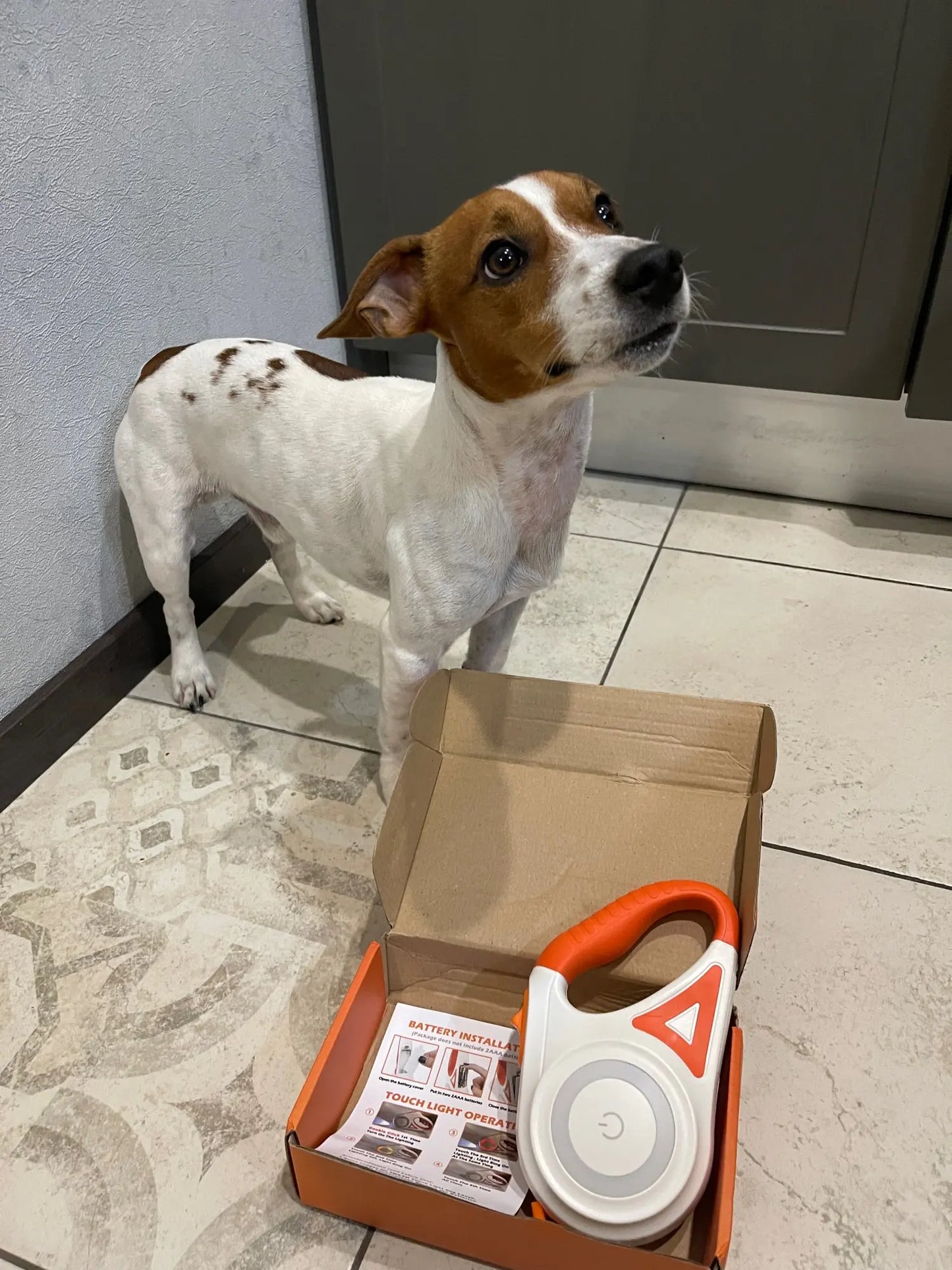 SafeWalk Koppel – Belyst Hundekoppel for Sikker Gåing Norvo