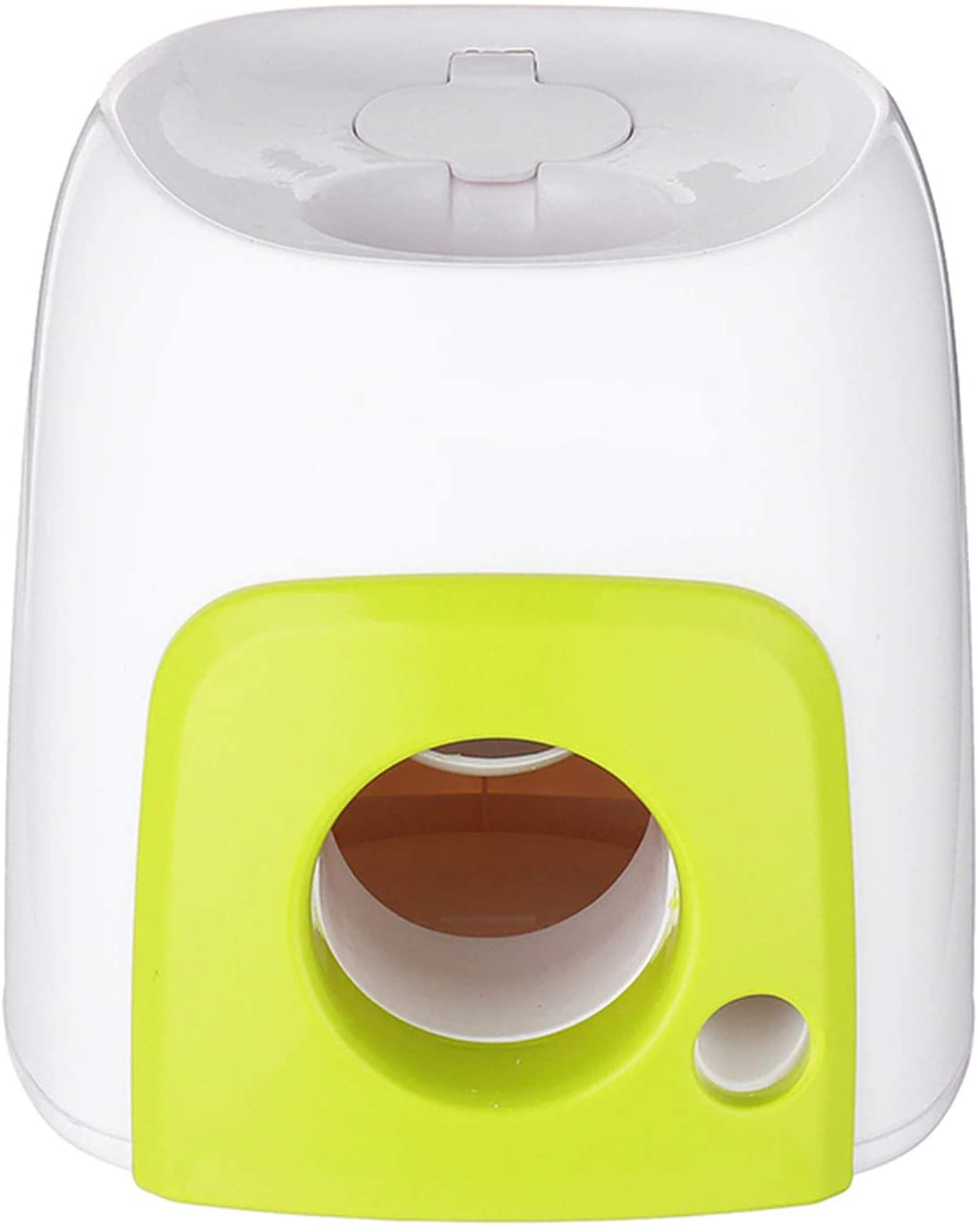 Norvo | Hund Kjæledyr Leker Tennis