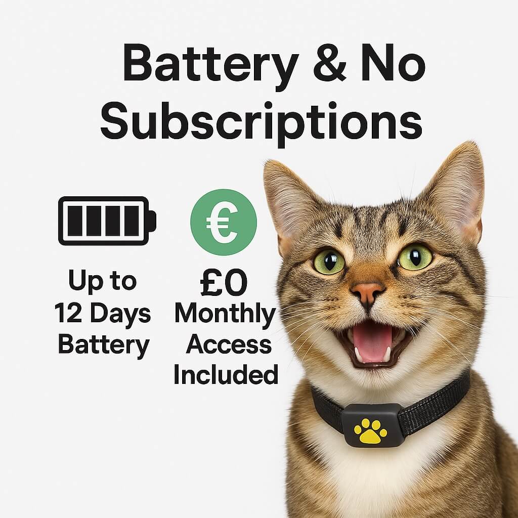 Norvo | #1 Finn GPS Katt Tracker med Sanntidsplassering, Vanntett Design, og Aktivitetsovervåking for Kæledyrssikkerhet og Sporing