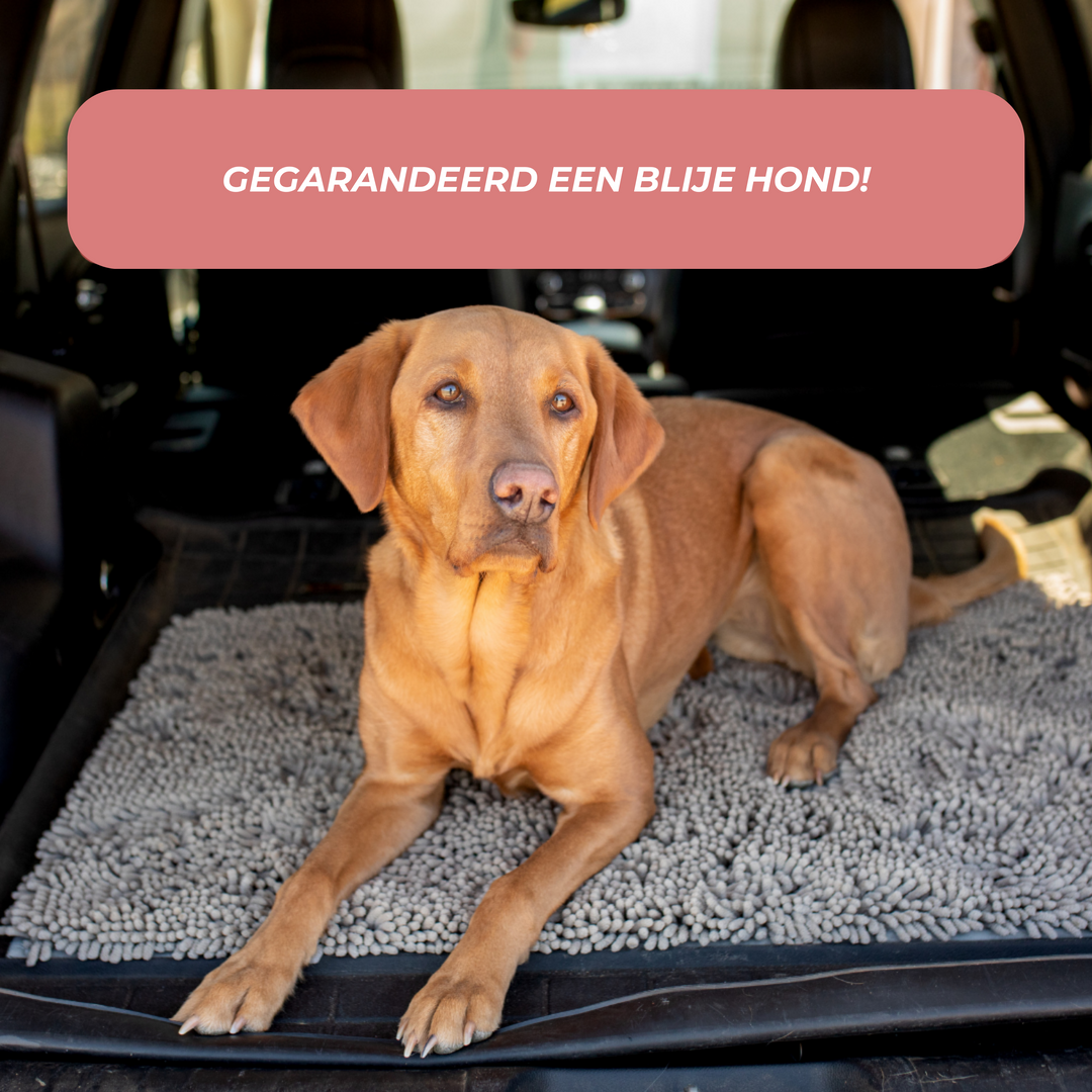 Norvo | Joep Hund Dørmatte – Super Absorberende Matte for Skitne Poter