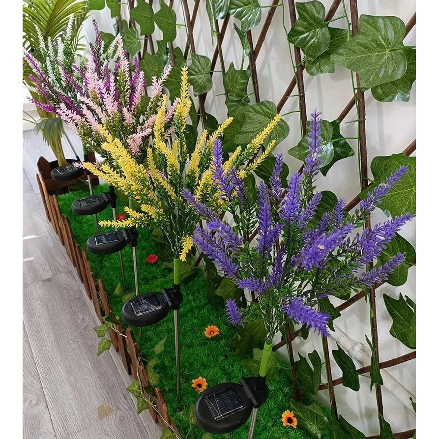 Norvo | Sollys lavendel for romantisk hagebelysning