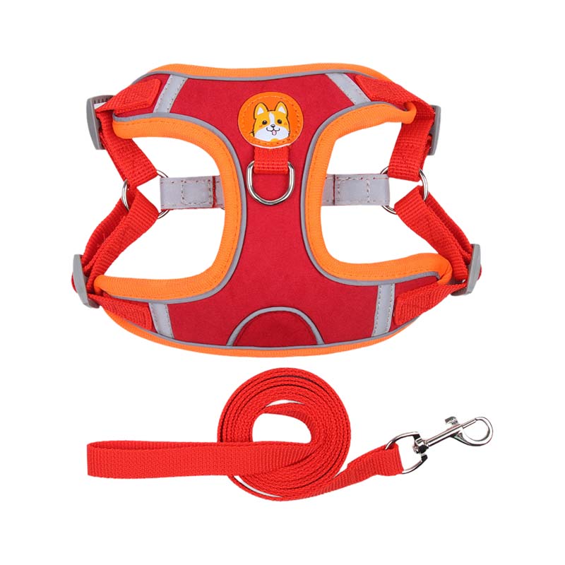 Norvo | Reflekterende kjæledyrsele og båndsett