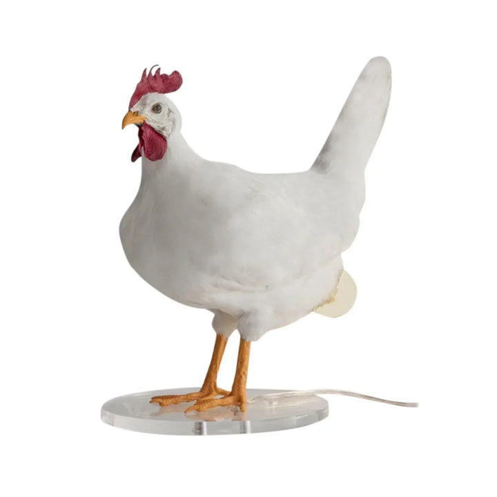 Norvo | ChickLume - Innovativ lampe for høner - Oppmuntrer til egglegging - Lyser opp og varmer opp