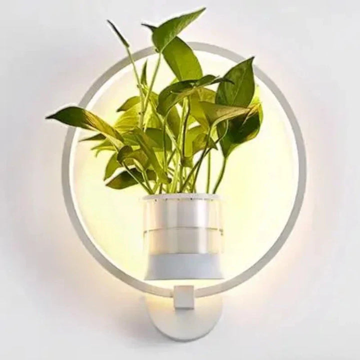 Norvo | Vegglampe med glassplanteholder