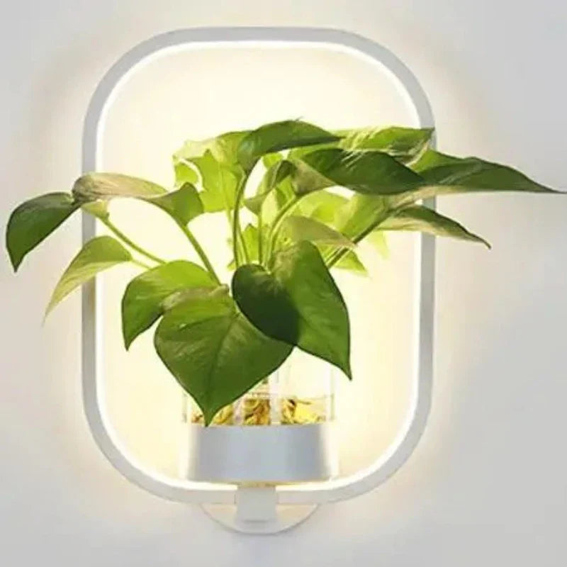 Norvo | Vegglampe med glassplanteholder