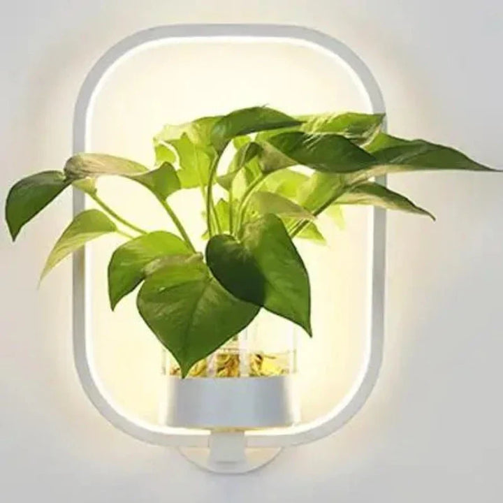 Norvo | Vegglampe med glassplanteholder
