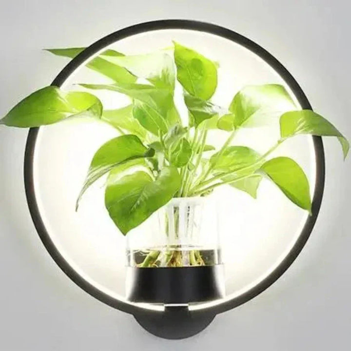 Norvo | Vegglampe med glassplanteholder