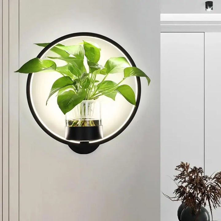 Norvo | Vegglampe med glassplanteholder