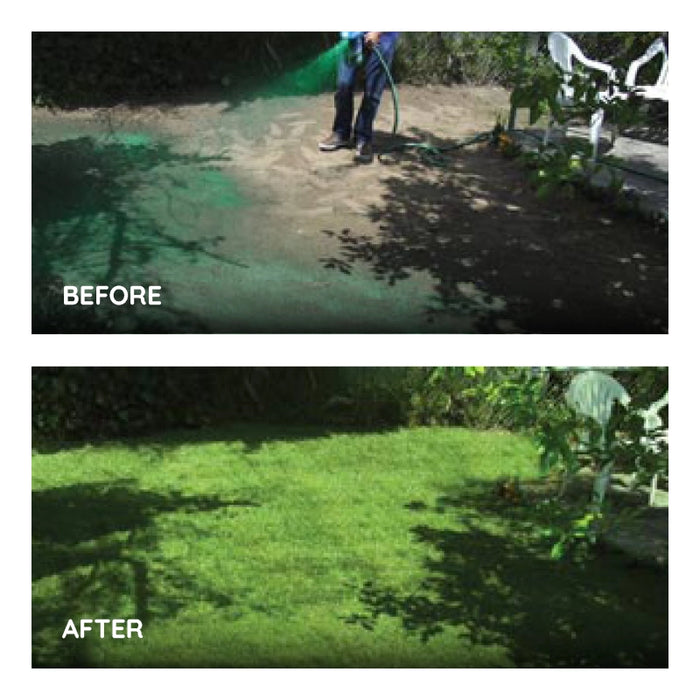 Norvo | Flytende Gressfrø Spray