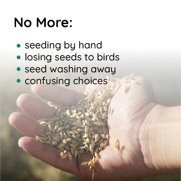 Norvo | Flytende Gressfrø Spray