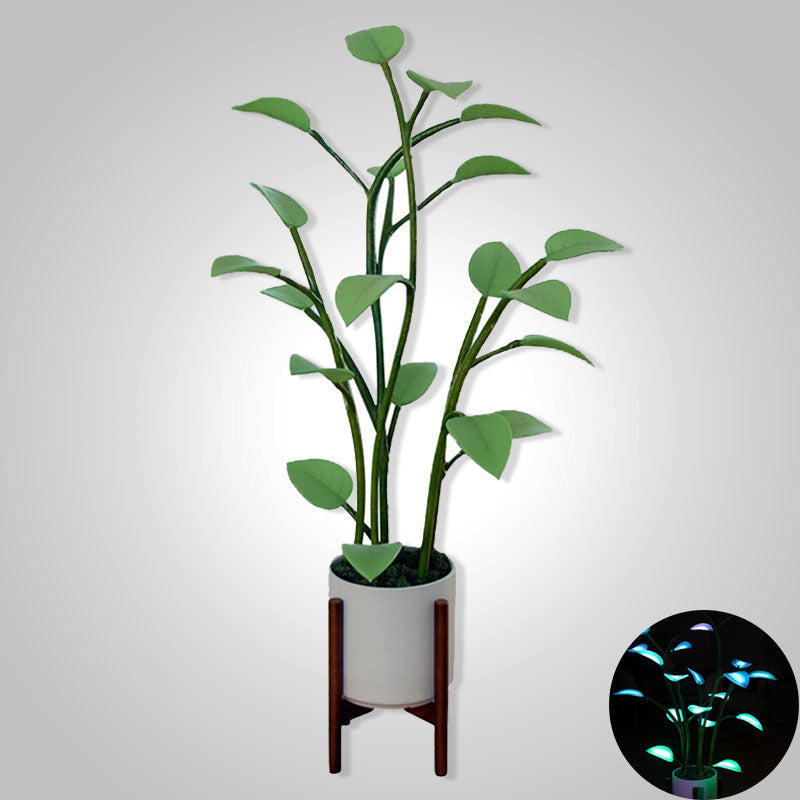 Norvo | Lyse Blomst | Magisk LED Plante