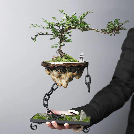 Norvo | Moderne Henge Sukulent Plantekasse