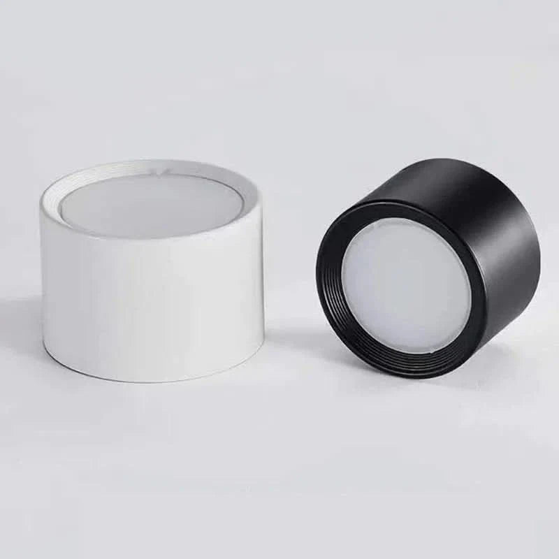 Norvo | Moderne LED Taklampe i Svart og Hvit