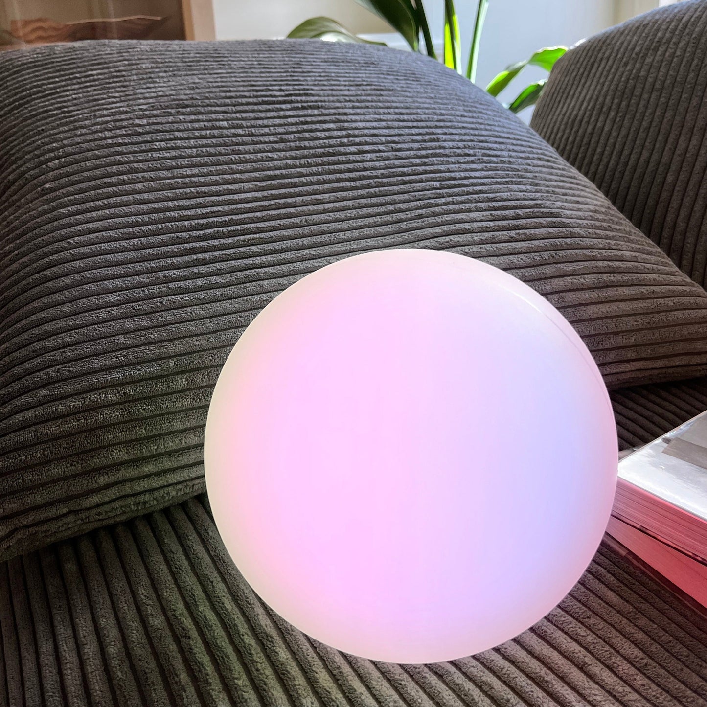 Norvo | LED Trådlampe - Oppladbar Moderne Lysarmatur for Hjem, Kontor og Nattbord Bruk