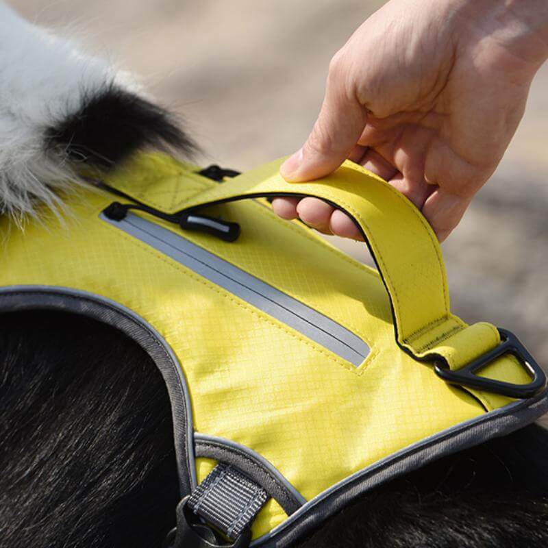 Norvo | Multifunksjonelt eksplosjonsbeskyttet anti-trekk sele for mellomstore til store hunder sele