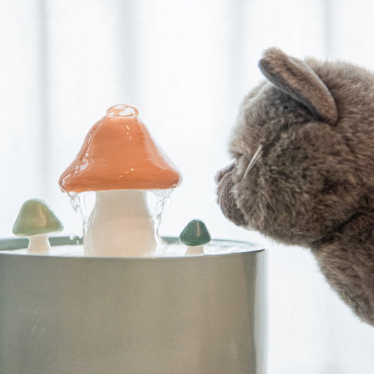 Norvo | Kattensvampvannfontene