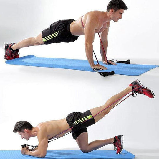 Norvo | Sport Elastics