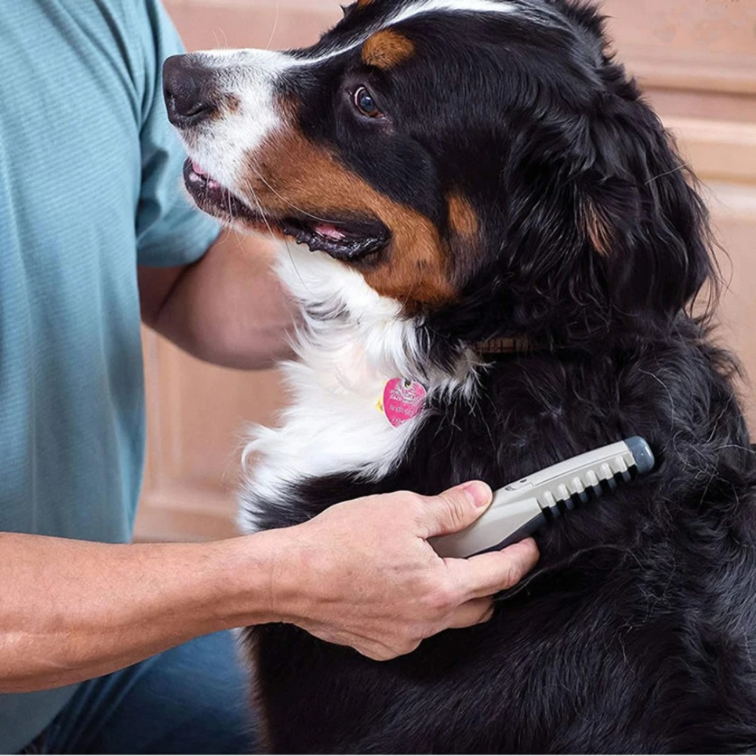 Norvo | Tangle-Free Pet Grooming Brush – Mild og effektiv utredningsbørste for katter og hunder