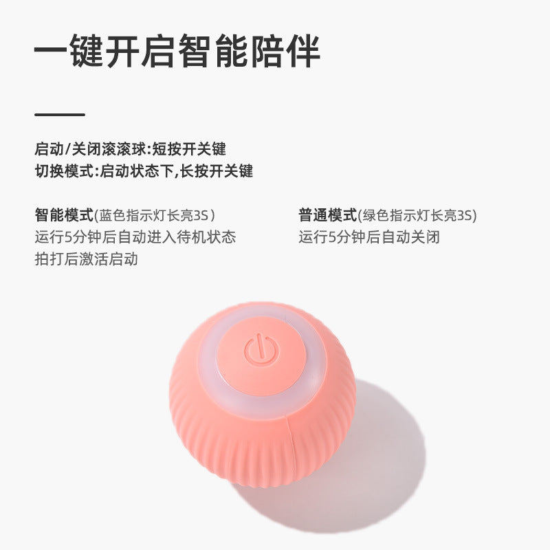 Interaktiv katt lekeball Norvo