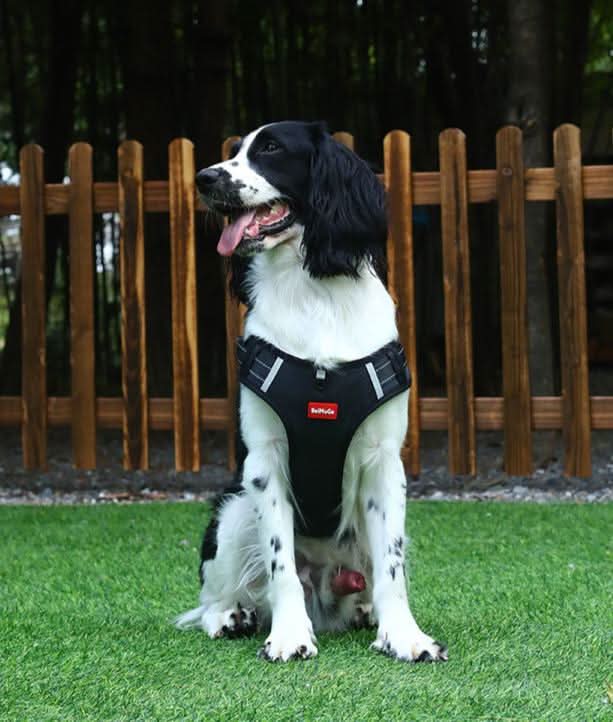 Norvo | anti-drag hundesele for smertefrie turer