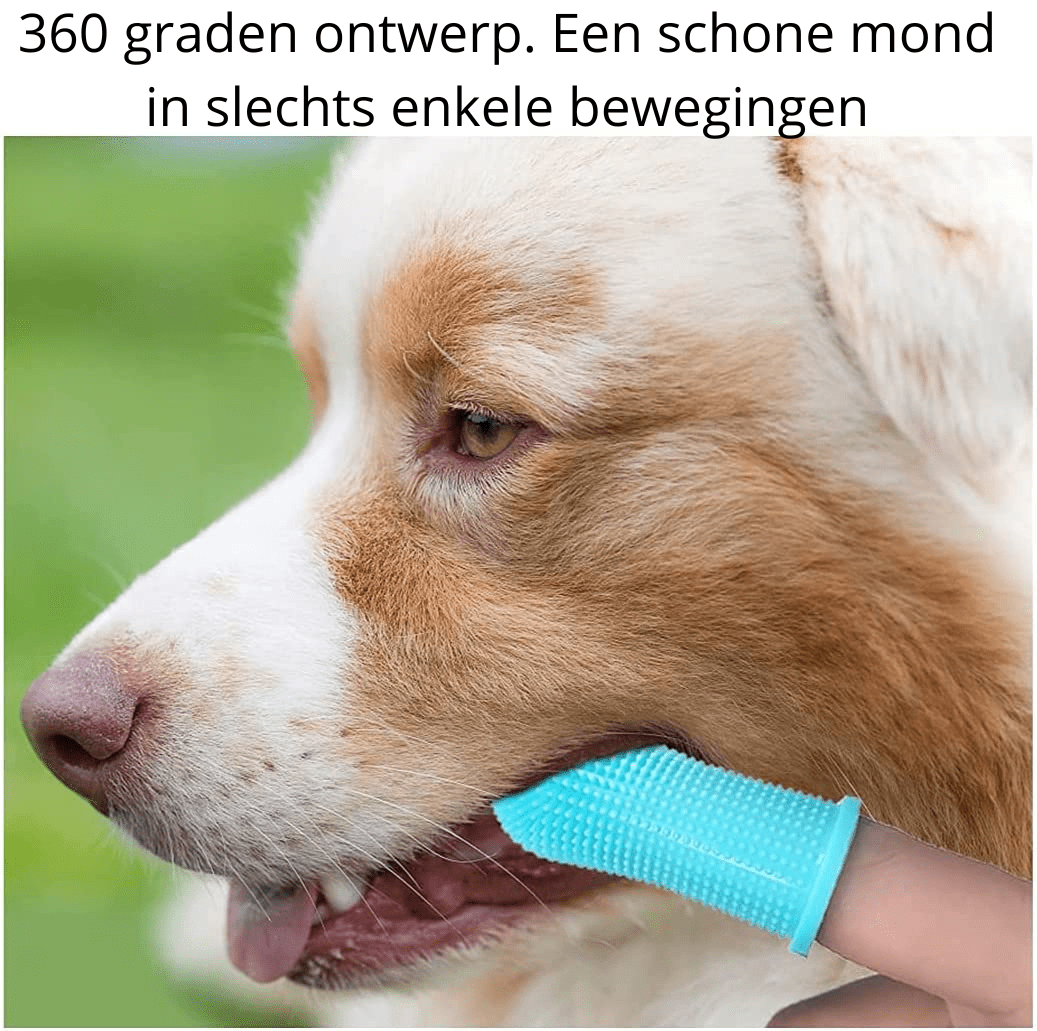 Norvo | PAWCLEAN PRO – 360° Silikon Finger Tannbørste for Stressfri Tannpleie for Hunder