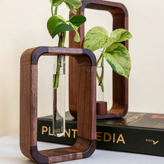 Norvo Hohler Plante Propagator | Dekorativ Plantevekst Stasjon | Perfekt for Hjem og Kontor