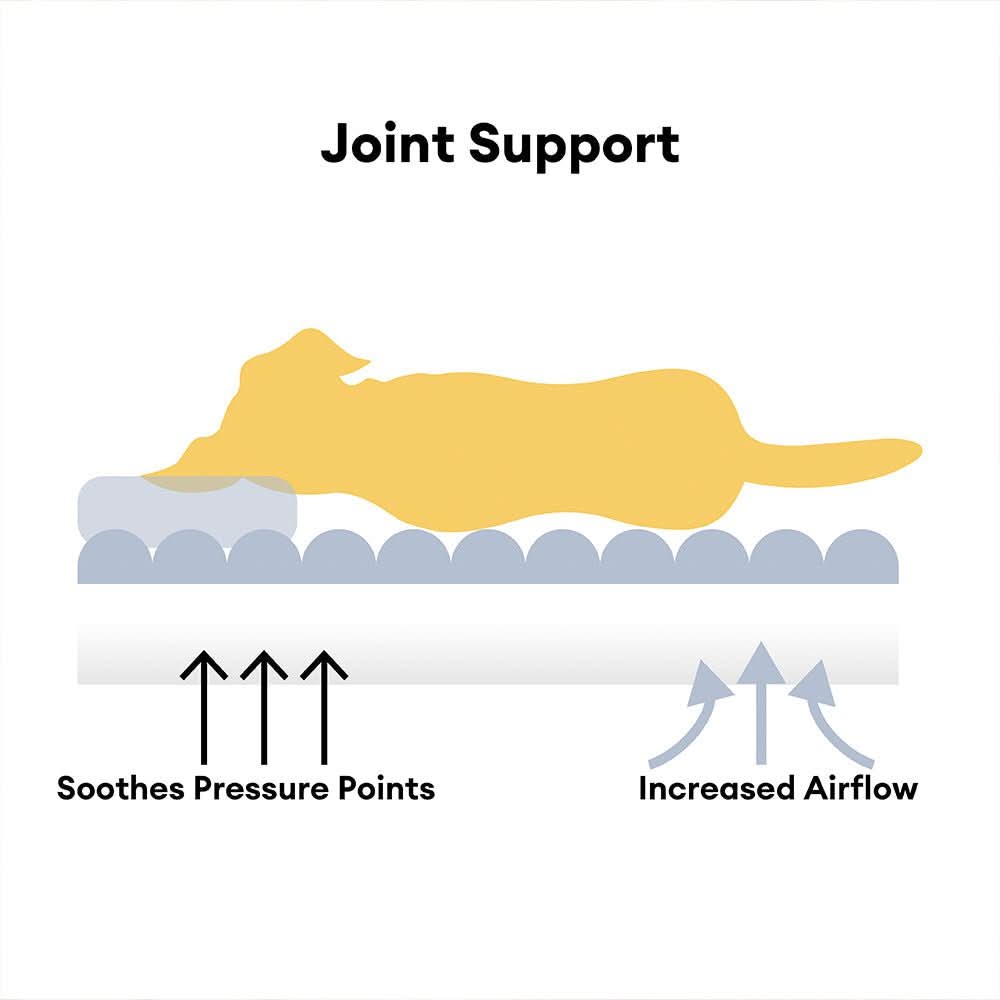 Norvo | DreamPaw ortopedisk hundeseng – Solid soveplasser med nakkestøtte og avtakbart trekk