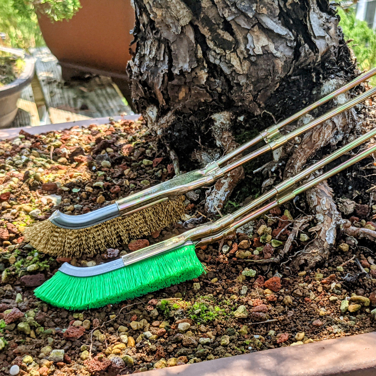 Norvo | Nylonbørste for rengjøring av bonsai-stammeområde – hageverktøy