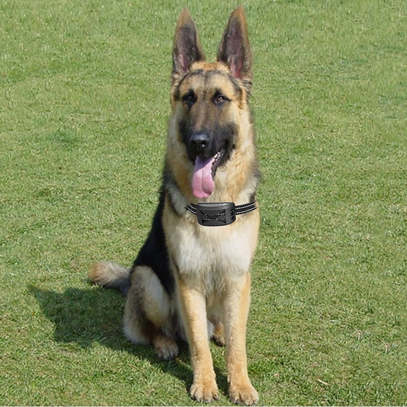 Norvo | Trådløst hundehegnsystem med justerbar vanntett krage - Opptil 240 meter rekkevidde