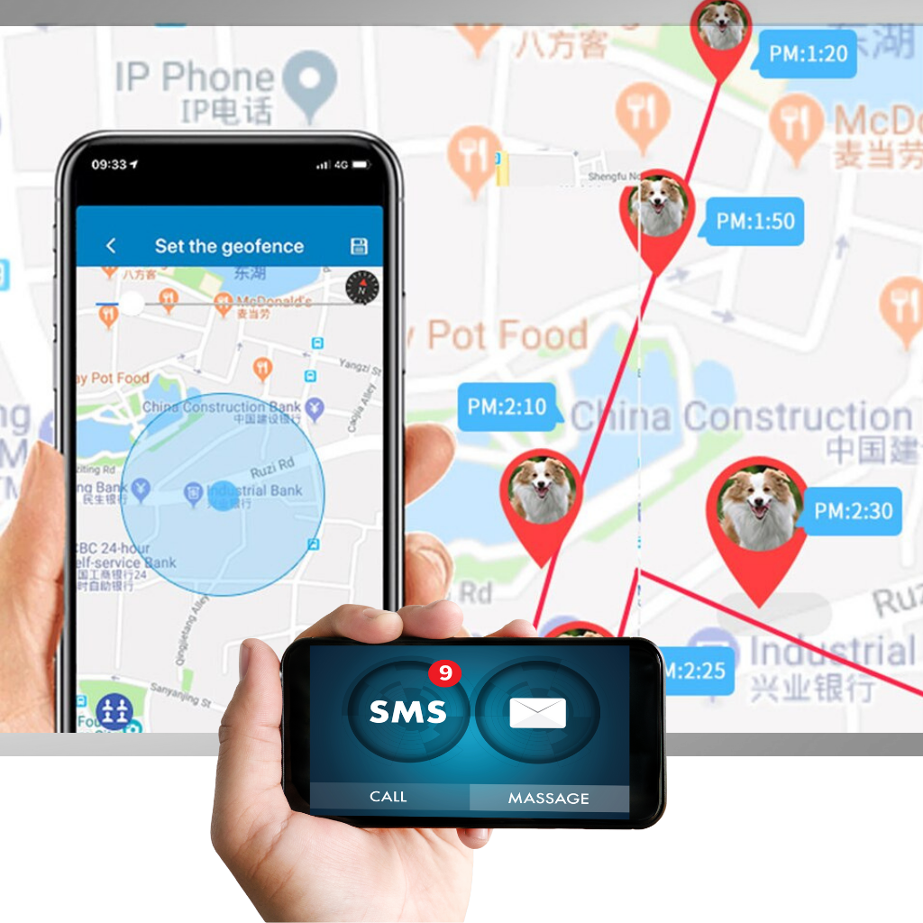 GPS-halsbånd for kjæledyr