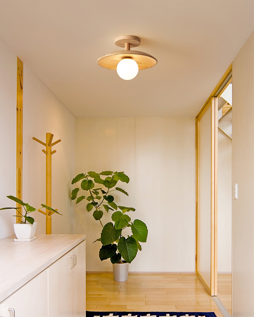 Norvo | CelestialGlow - Takarmatur