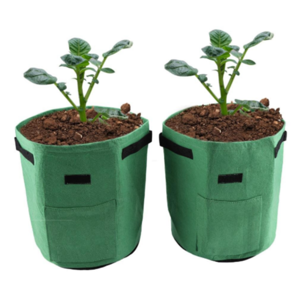 Norvo | Potato Plant Bag