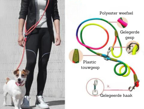 FreedomLeash – Innovativ Håndfri Hundebånd Norvo
