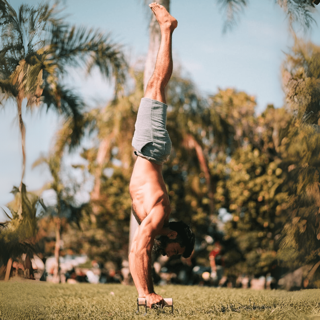 Norvo | Ergonomiske tre parallettes for sikker push-up trening