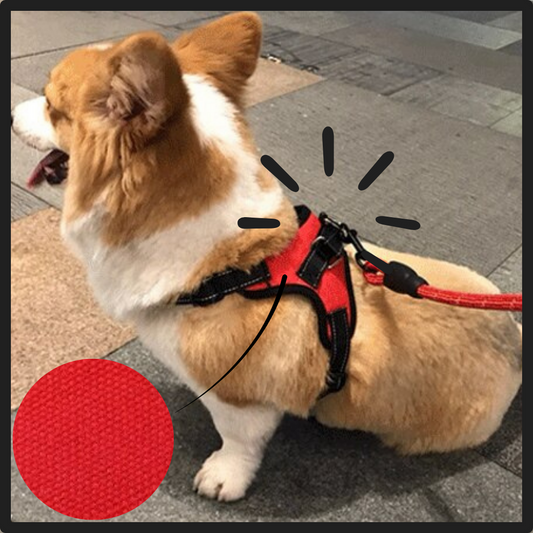 Reflekterende, justerbar hundesele