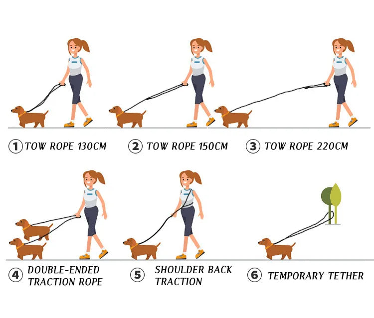 FreedomLeash – Innovativ Håndfri Hundebånd Norvo