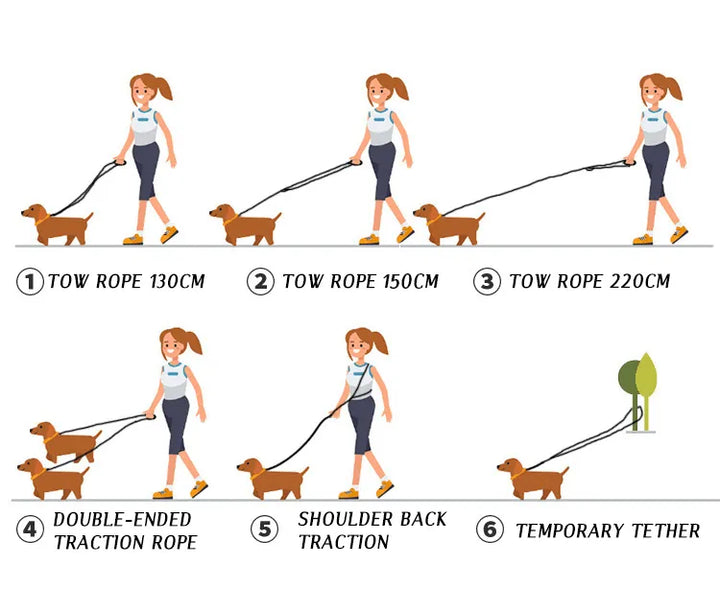 FreedomLeash – Innovativ Håndfri Hundebånd Norvo
