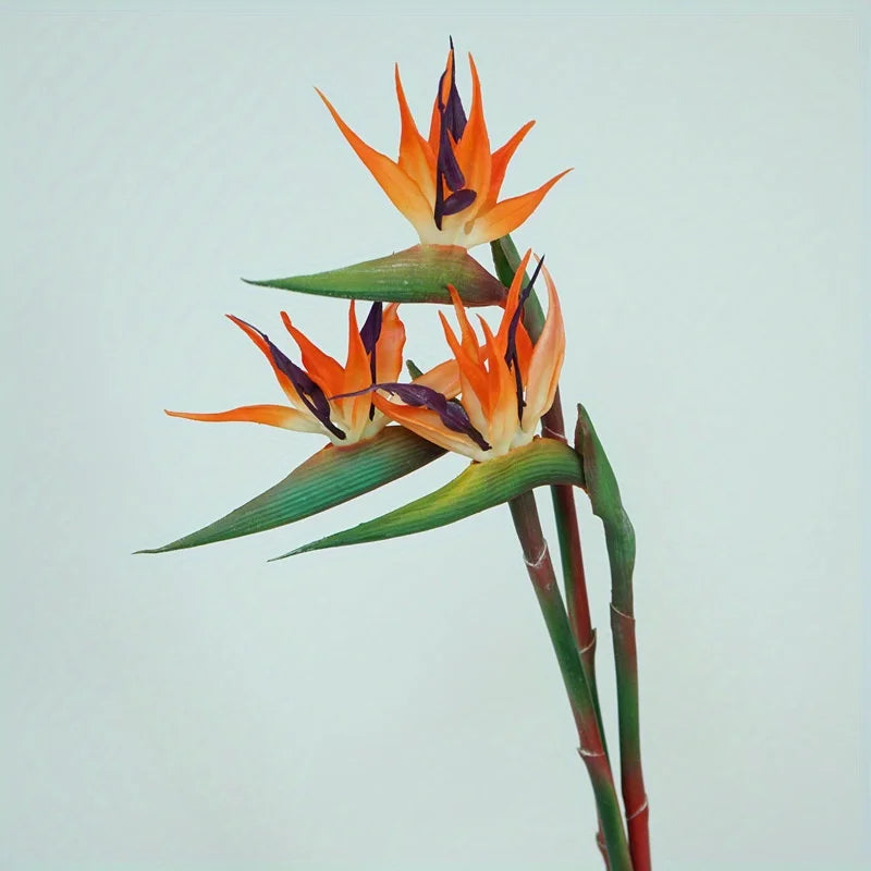 Norvo | Floriva 3 Delt Sett Kunstige Strelitzia | Papegøye Blomster | 24,5 cm Lange Stengler | Dekorasjon for Hjem, Kontor & Arrangementer