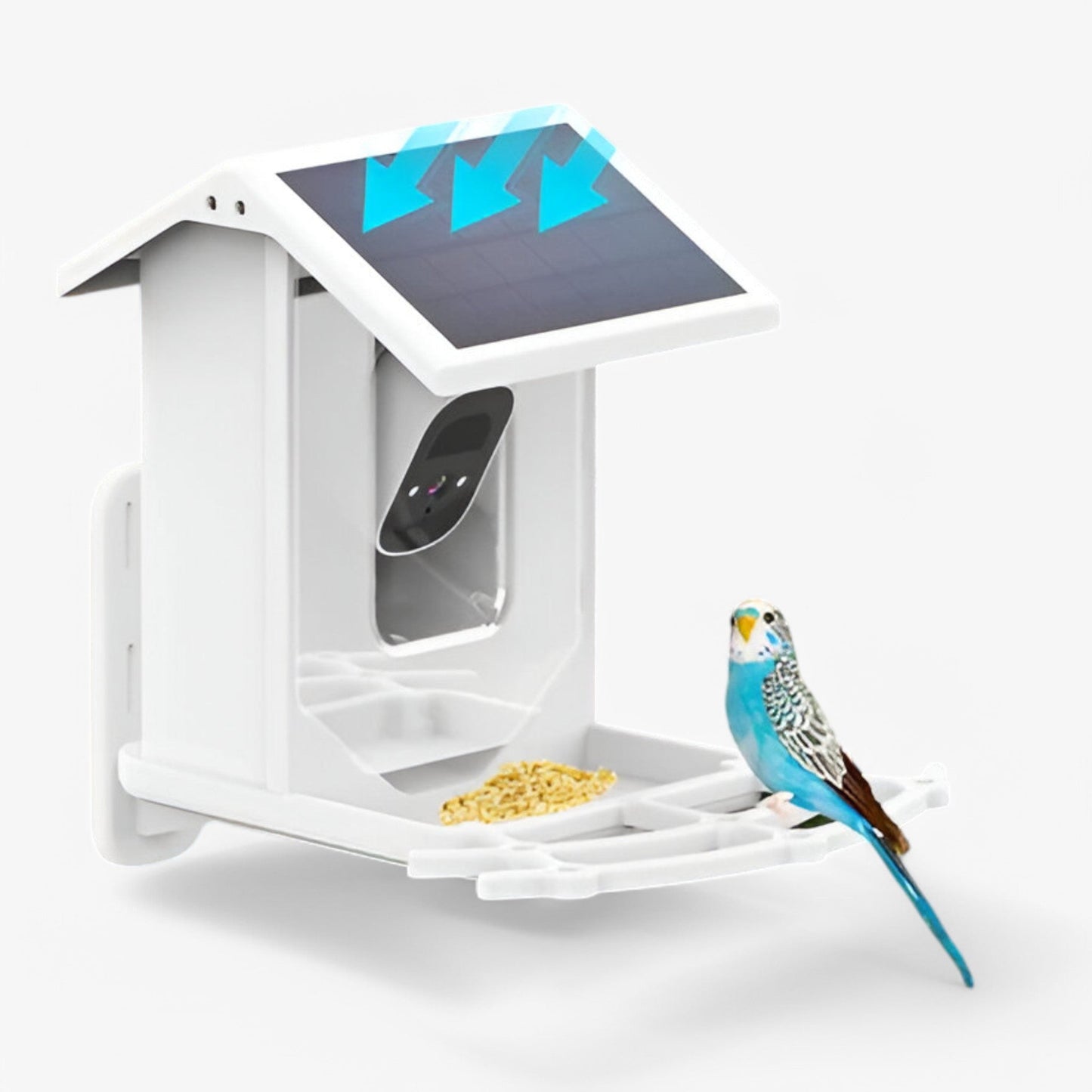 Norvo | Auxco | Smart Bird Feeder med 1080P HD Kamera, AI Fuglgjenkjenning & Solenergi Lading