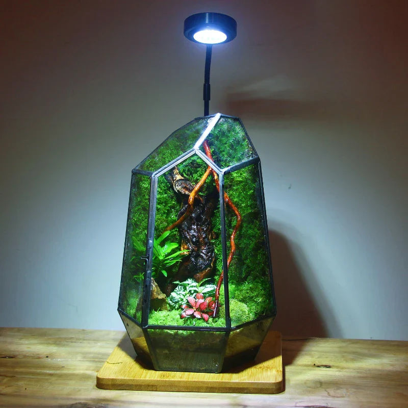 Moderne Geometriske Natur-Inspirerte Botaniske Terrarium | Norvo