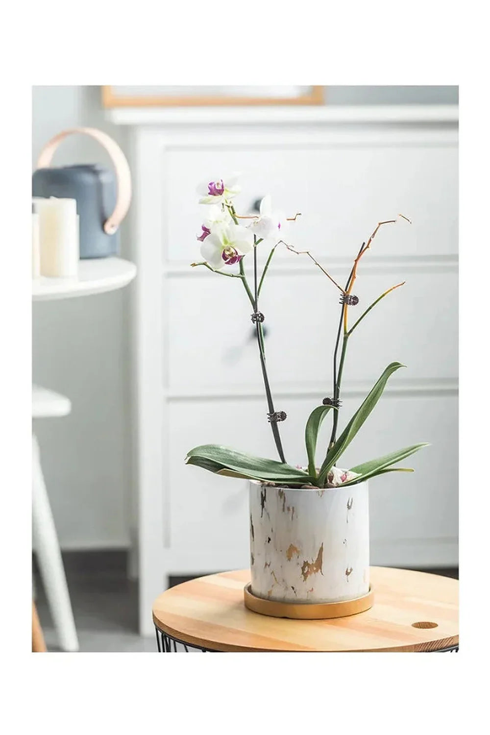 Norvo | Marmor Gullblad Plantepotte Sett