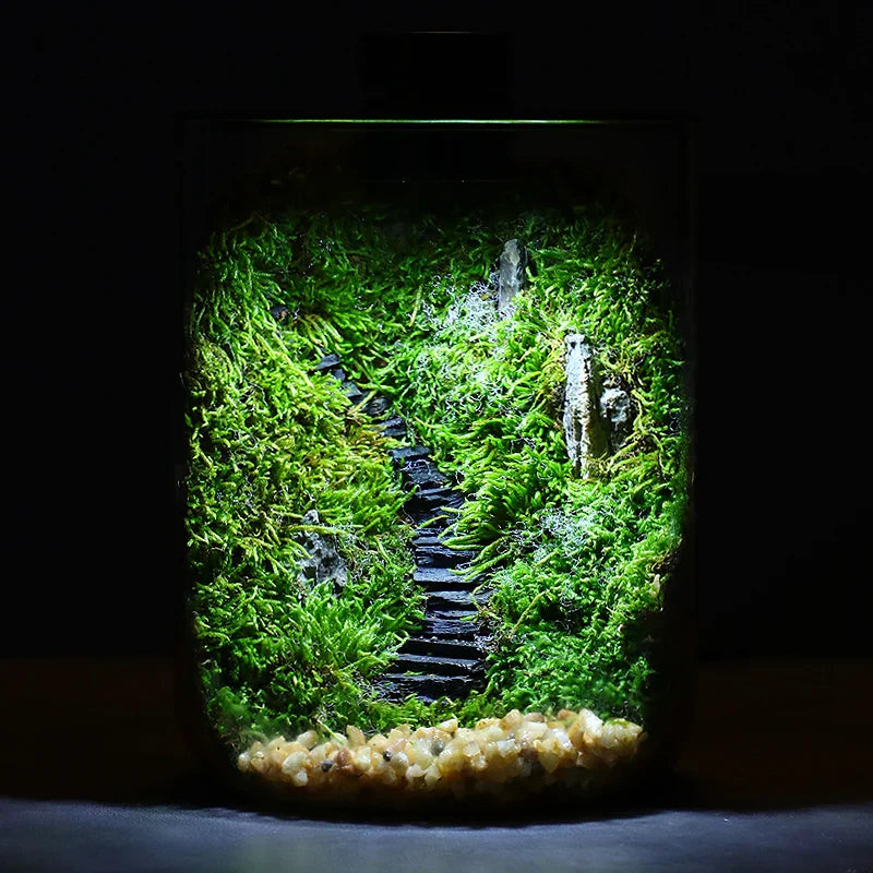 Norvo | Mini Forest Maker Terrarium Dekor Vase